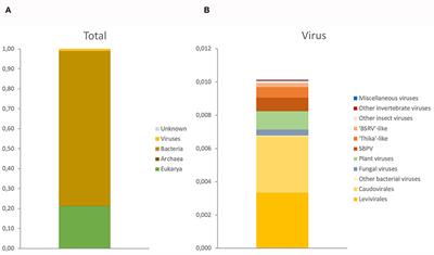 Virus Diversity and Loads in Crickets Reared for Feed: Implications for Husbandry